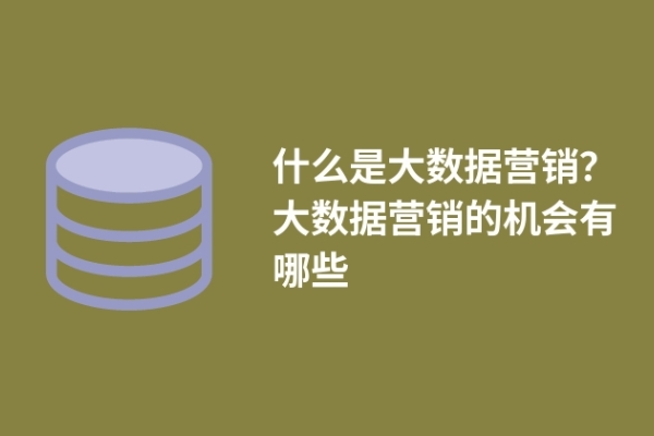 什么是大數(shù)據(jù)營(yíng)銷？大數(shù)據(jù)營(yíng)銷的機(jī)會(huì)有哪些