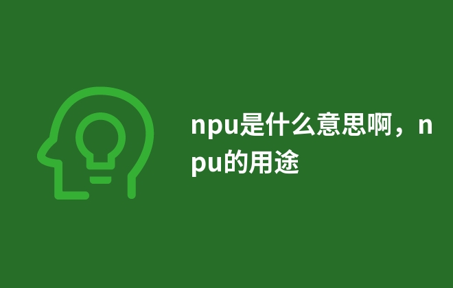 npu是什么意思啊，npu的用途