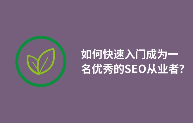 如何快速入門成為一名優(yōu)秀的SEO從業(yè)者？